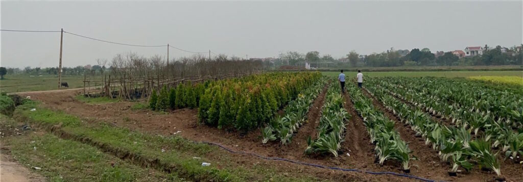 CÔNG TY CỔ PHẦN LANDSCAPE BMG